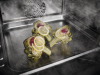 Miele DGC7865 HC PRO VITROLINE OBBL Combination steam oven with mains water and drain connection Obsidian black