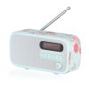 Viewquest VQDEXTERCKAR DAB-FM Radio
