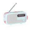 Viewquest VQDEXTERCKAR DAB-FM Radio