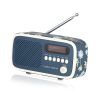 Viewquest VQDEXTERLAN DAB-FM Radio