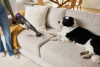 Shark IP3251UKT Cordless Vacuum Cleaner
